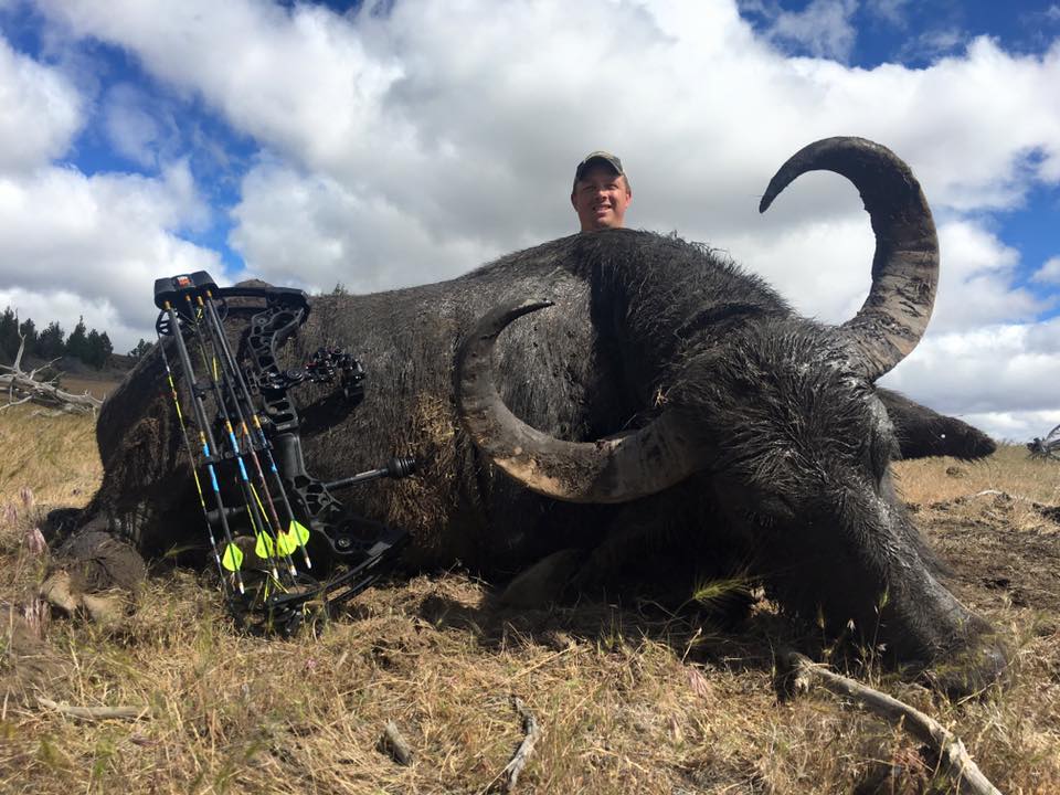 ASIAN WATER BUFFALO Four Aces Ranch Exotic Hunting | Ashwood, OR